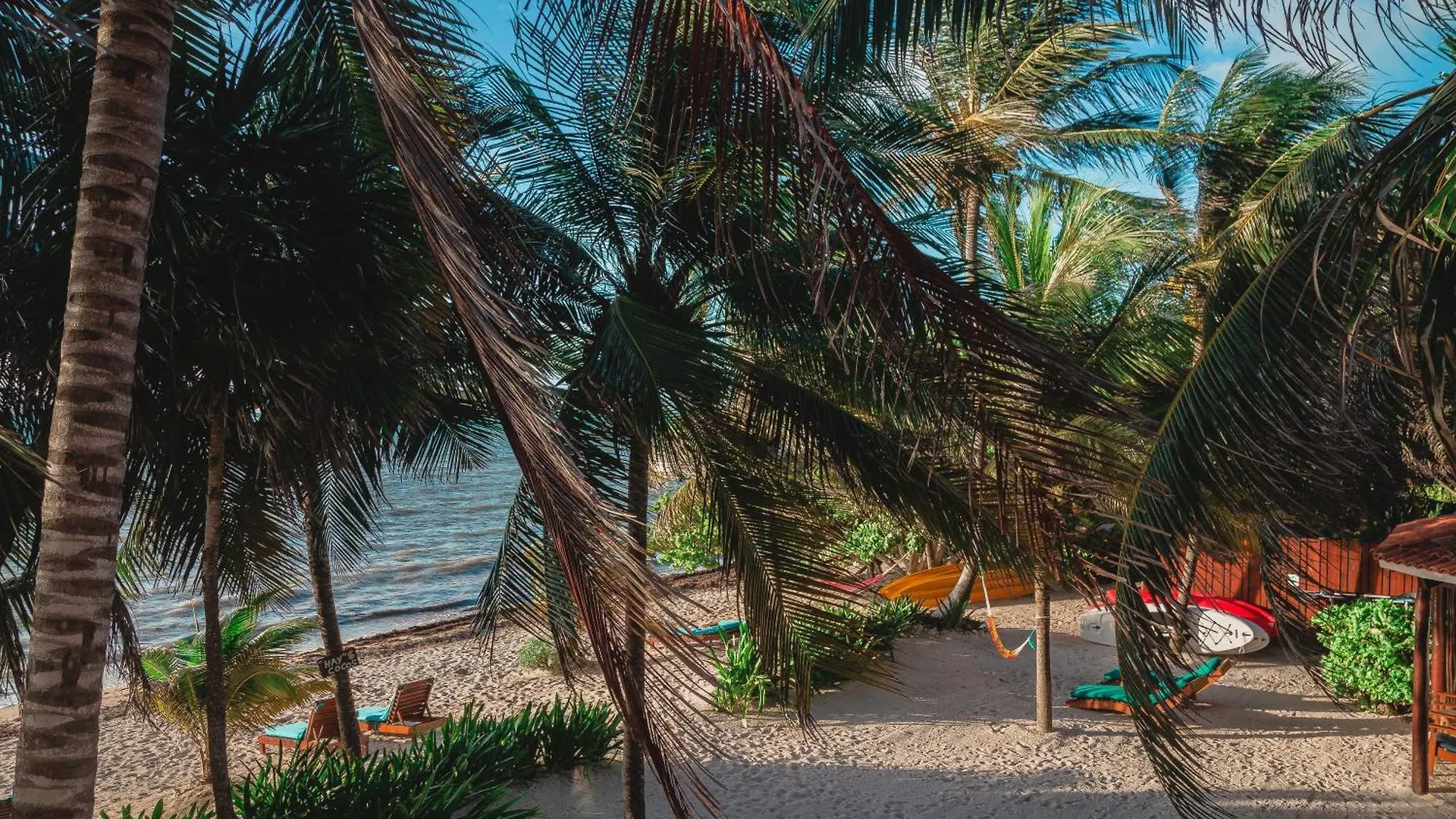 ** Nocleg ze śniadaniem Bed and Breakfast Casa Colibri Tankah Tulum Meksyk