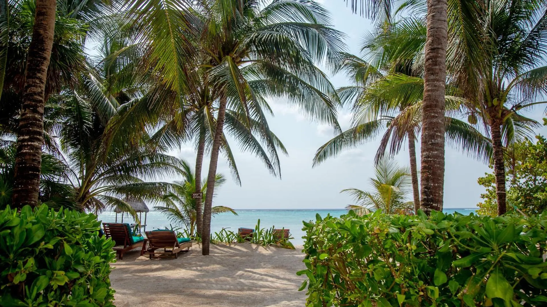Bed and Breakfast Casa Colibri Tankah Tulum Nocleg ze śniadaniem