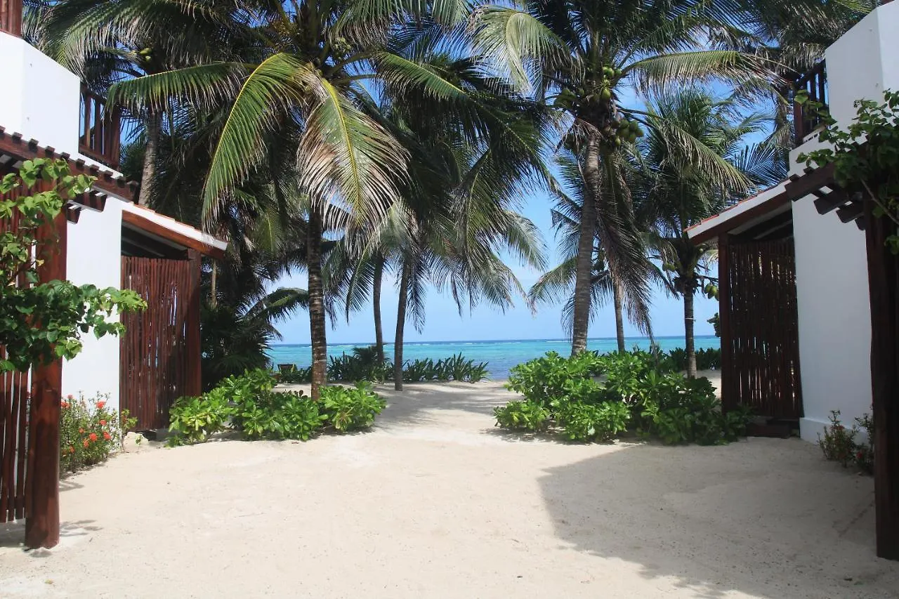 Casa Colibri Tankah Bed & Breakfast Tulum